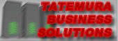 TATEMURA Business Solutions